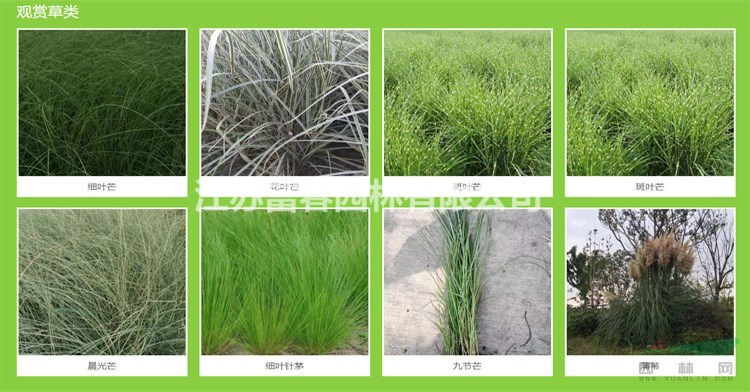 塑料浮島_人工浮島每平米價格_施工供應商