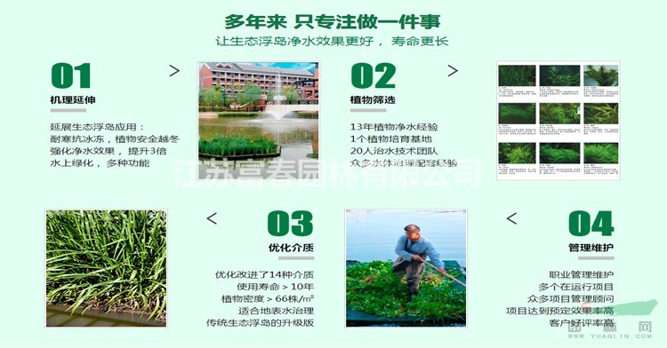 凈水浮床_大型人工浮島_綠化養護
