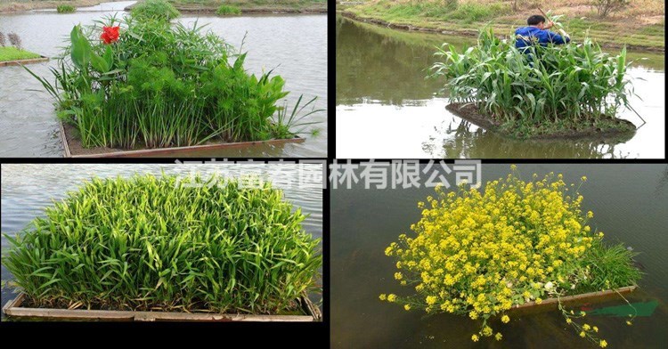 浮島設計_人工生態浮島廠家_植物工程水體凈化