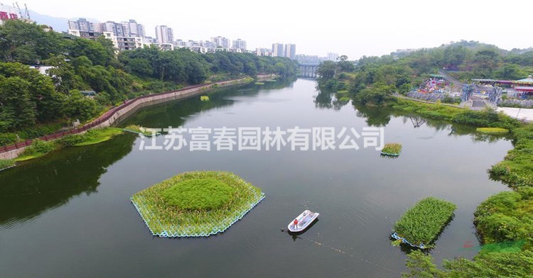 污水治理_河道綠化浮島圖片_施工廠家專業施工隊伍