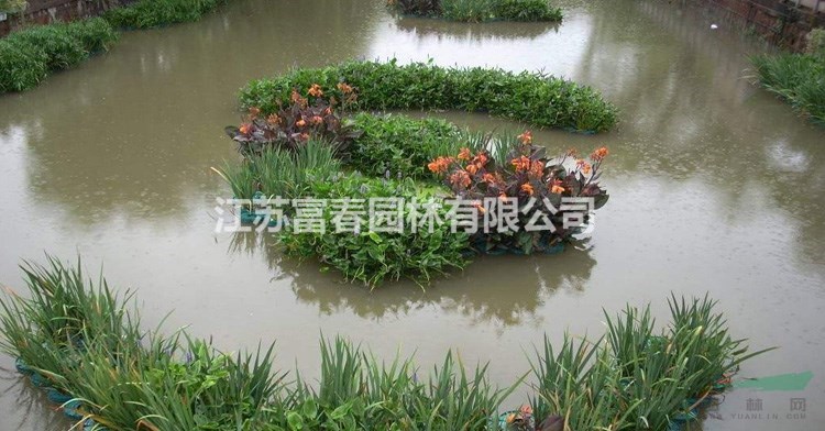 河道綠化_生態(tài)浮島批發(fā)_水上景觀噴泉