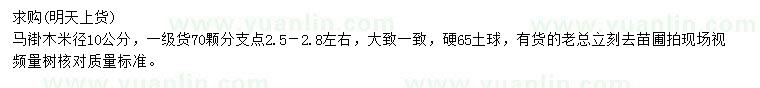 求購米徑10公分馬褂木