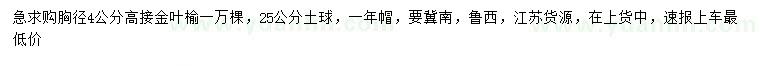 求購胸徑4公分高接金葉榆