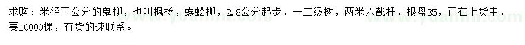 求購米徑3公分鬼柳