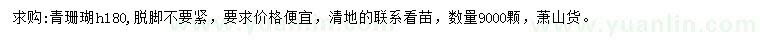 求購高180公分青珊瑚