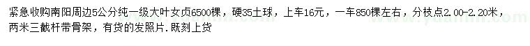 求購(gòu)5公分大葉女貞