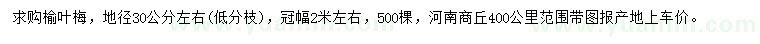 求購地徑30公分左右榆葉梅