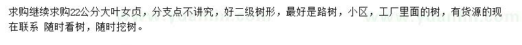 求購22公分大葉女貞