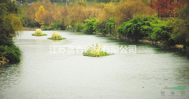 水面綠化_水生植物浮島_治理專用生態(tài)綠化設(shè)計施工