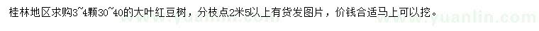 求購30-40公分大葉紅豆樹