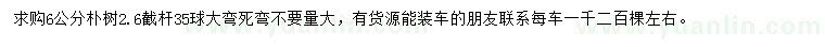 求購6公分樸樹