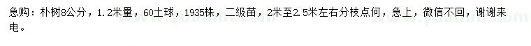 求購胸徑8公分樸樹(shù)