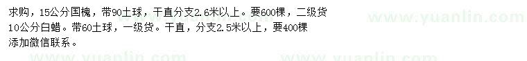 求購15公分國槐、10公分白蠟