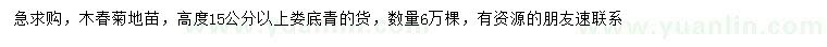 求購(gòu)高15公分以上木春菊