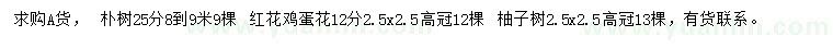 求購樸樹、紅花雞蛋花、柚子樹