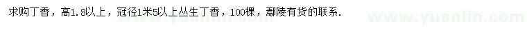 求購(gòu)高1.8米以上丁香、冠1.5米以上叢生丁香