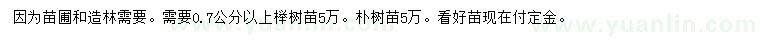 求購0.7公分以上櫸樹(shù)、樸樹(shù)
