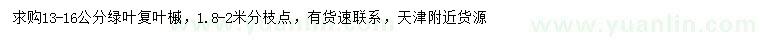 求購13-16公分綠葉復(fù)葉槭