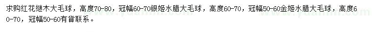 求購紅花繼木、銀姬水臘、金姬水臘