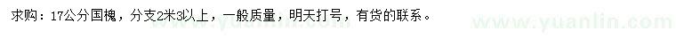 求購17公分國槐