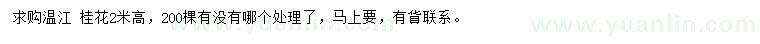求購(gòu)高2米桂花