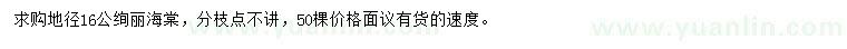 求購地徑16公分絢麗海棠