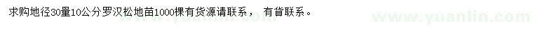 求購30量10公分羅漢松