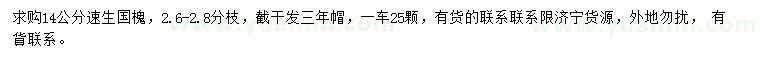 求購14公分速生國槐