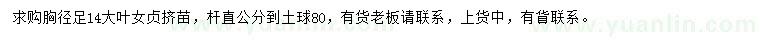 求購胸徑14公分大葉女貞