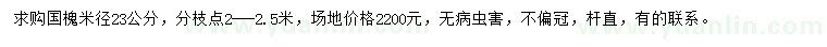 求購米徑23公分國槐