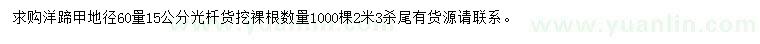 求購60量15公分洋蹄甲