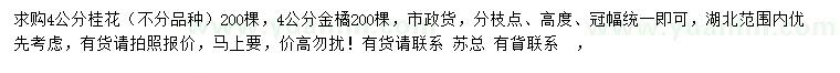 求購(gòu)4公分桂花、金橘