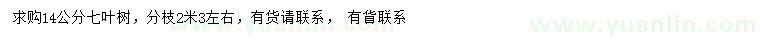 求購14公分七葉樹