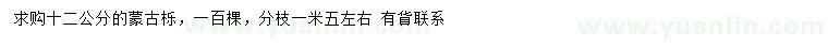 求購12公分蒙古櫟