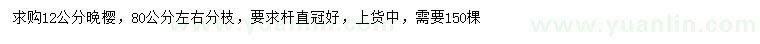 求購(gòu)12公分晚櫻