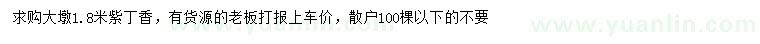求購1.8米紫丁香