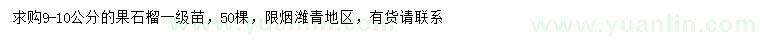 求購9-10公分果石榴