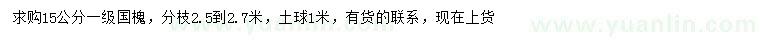 求購15公分國槐
