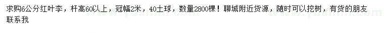 求購6公分紅葉李