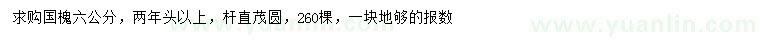 求購6公分國槐