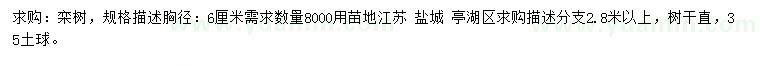 求購胸徑6公分欒樹