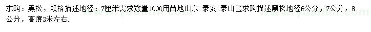 求購高3米左右黑松
