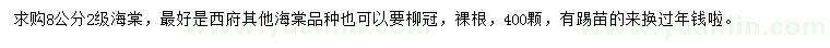 求購8公分海棠