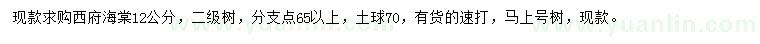 求購12公分西府海棠