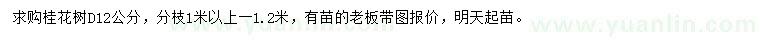 求購地徑12公分桂花