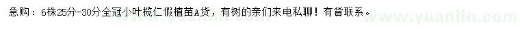 求購25-30公分小葉欖仁