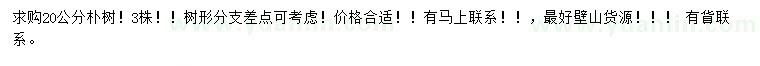 求購20公分樸樹
