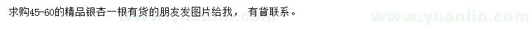 求購45-60公分銀杏