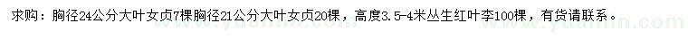 求購胸徑21、24公分大葉女貞、高3.5-4米叢生紅葉李