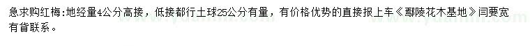 求購地徑4公分紅梅